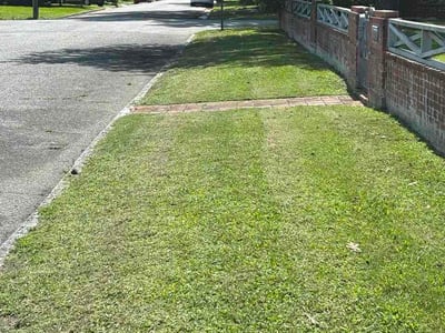 Lawn Care service in Goldsboro, 27530