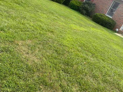 Lawn Care service in Halethorpe, 21227