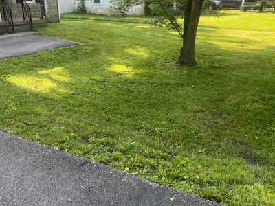 Lawn Care service in Norwood, 45212