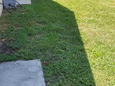 Lawn Care service in Rancho Cordova, 95670