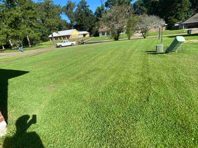 Lawn Care service in Port Allen, 70767