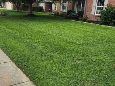 Lawn Care service in Corydon, 42406