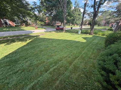 Lawn Care service in Corydon, 42406