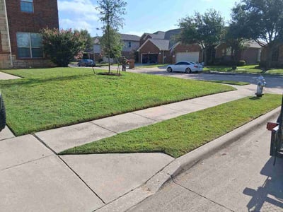 Lawn Care service in Spring Valley, 91977