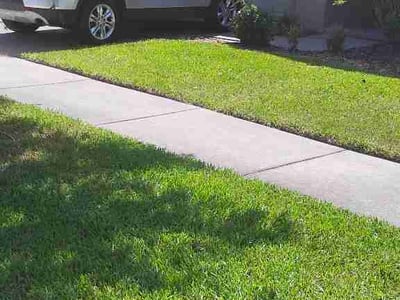 Lawn Care service in Lakeside, 92040
