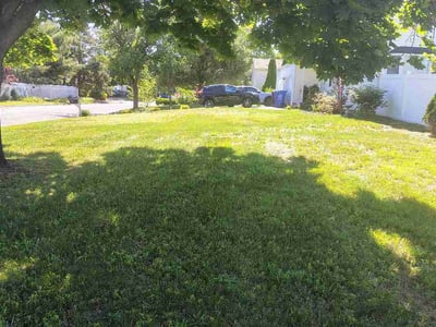 Lawn Care service in Tuckerton, 08087