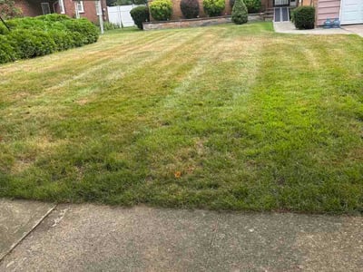 Lawn Care service in Cleveland Heights, 44118