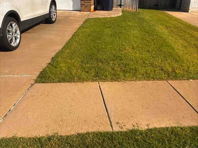 Lawn Care service in Hendersonville, 28792