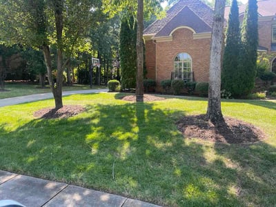 Lawn Care service in Waxhaw, 28173