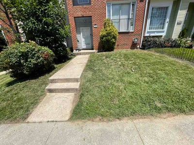 Lawn Care service in Beltsville, 20705