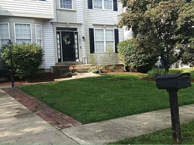 Lawn Care service in Beltsville, 20705