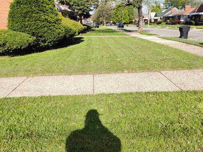 Lawn Care service in Oceanside, 92054
