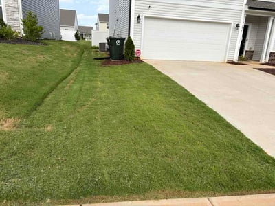Lawn Care service in Trinity, 27370