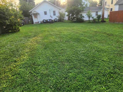 Lawn Care service in Pendleton, 46064