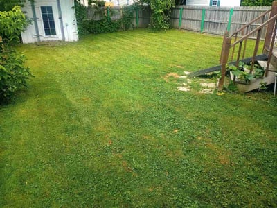 Lawn Care service in Syracuse, 13202