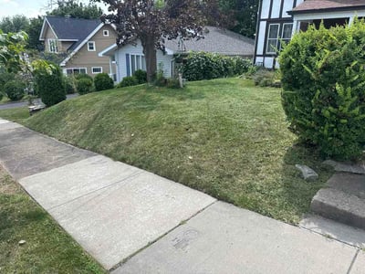 Lawn Care service in Syracuse, 13202