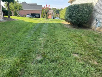 Lawn Care service in High Point, 27260