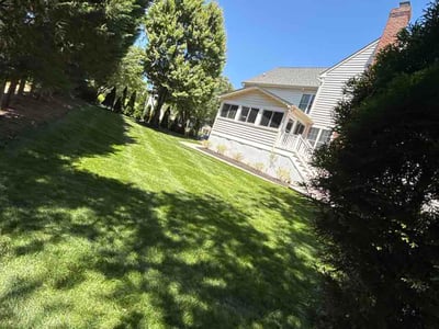 Lawn Care service in Cockeysville, 21030