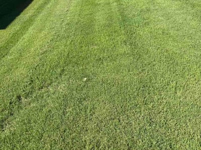 Lawn Care service in Hazel Green, 35750