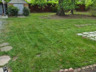 Lawn Care service in Siler City, 27344