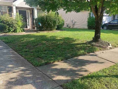 Lawn Care service in Rock Hill, 29730