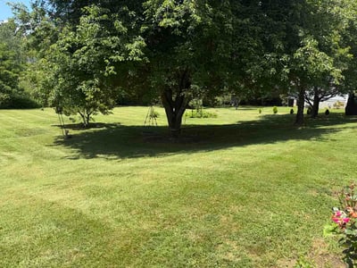 Lawn Care service in Weaverville, 28787