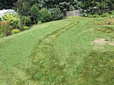Lawn Care service in Dekalb, 60115