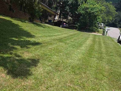Lawn Care service in Weaverville, 28787