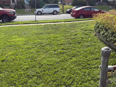 Lawn Care service in Lutherville Timonium, 21093