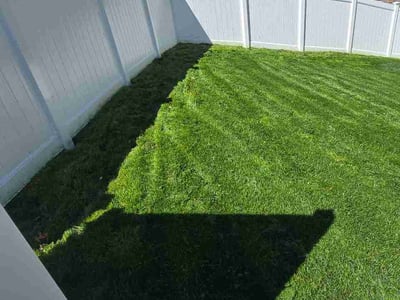 Lawn Care service in Lutherville Timonium, 21093