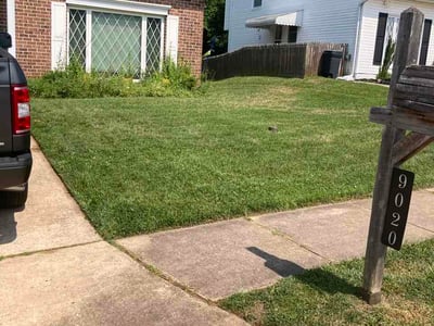 Lawn Care service in White Marsh, 21236