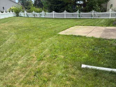 Lawn Care service in Westmont, 60559