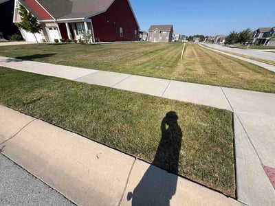 Lawn Care service in Suitland, 20746