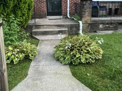 Lawn Care service in Reisterstown, 21136