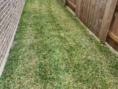 Lawn Care service in Garden Grove, 92843