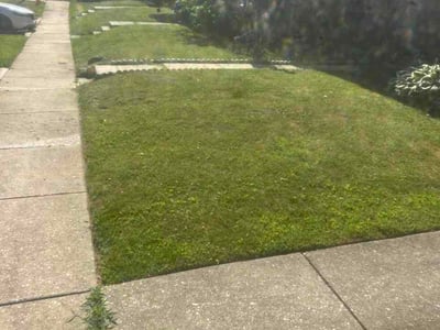Lawn Care service in Randallstown, 21133