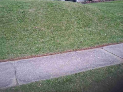 Lawn Care service in Pikesville, 21208