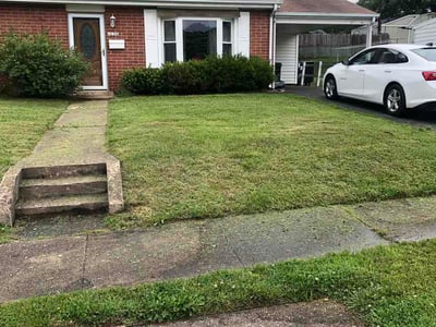 Lawn Care service in Pikesville, 21208