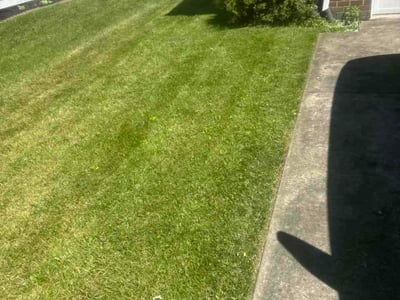 Lawn Care service in Pikesville, 21208