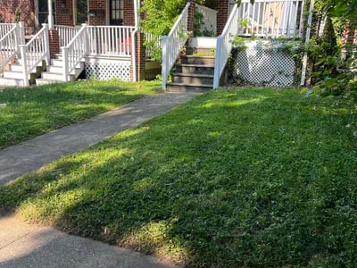 Lawn Care service in Gwynn Oak, 21207