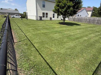 Lawn Care service in Haysville, 47546