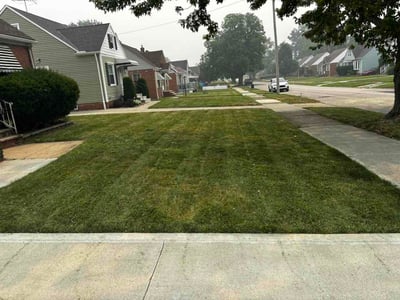 Lawn Care service in South Gate, 90280
