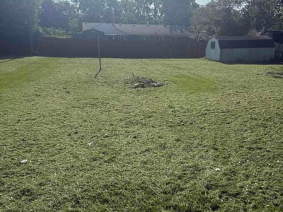 Lawn Care service in Haysville, 47546