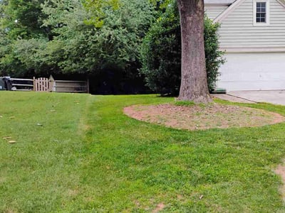 Lawn Care service in Huntersville, 28078