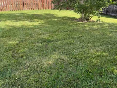 Lawn Care service in Wentzville, 63385
