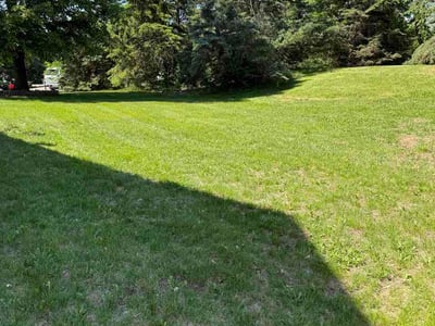 Lawn Care service in Minnetonka, 55345