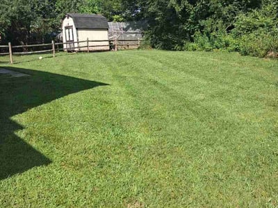 Lawn Care service in Concord, 28025
