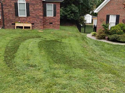 Lawn Care service in Concord, 28025