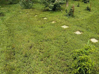Lawn Care service in Concord, 28025