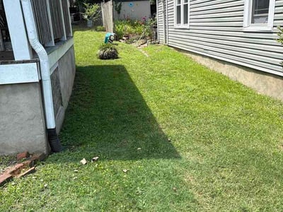 Lawn Care service in Concord, 28025